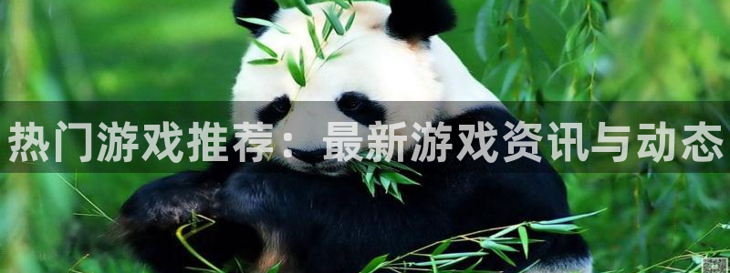 杜邦娱乐主管：热门游戏推荐：最新游戏资讯与动态