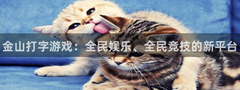 杜邦娱乐平台登录线路：金山打字游戏：全民娱乐、全民竞技的新平
