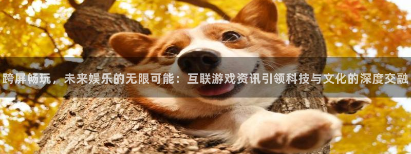 杜邦娱乐手机网页版登录：跨屏畅玩，未来娱乐的无限可能：互联游